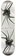 Polar Skate Co. David Strenström Spider 8.0 Short Shape Skateboard Deck