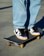 Nike SB Dunk Low Pro SB - Quickstrike Skate Shoes - (csef) summit white/black-white-iron grey - lifestyle 4