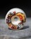 Spitfire Nelly Morville Pro Formula Four Radial Full Skateboard Wheels - rough cut (99d) - lifestyle 1
