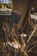 Bronze 56k Mountain Cargo Pants - brown/navy - lifestyle 2