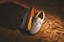 Vans Skate Curren Caples Shoes - grey - alternate 3