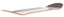 Santa Cruz Flame Ringed Dot 8.5 7 Ply Birch Skateboard Deck - angle