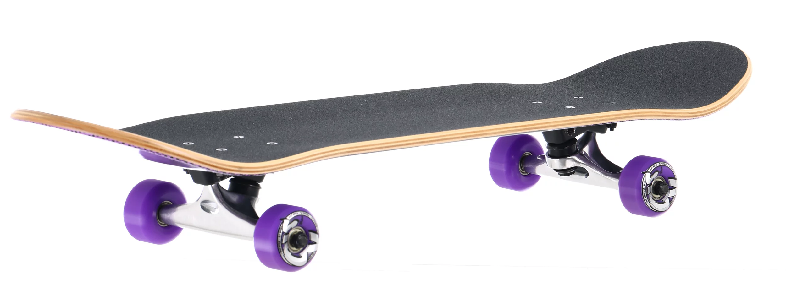 Santa Cruz Other Dot 8.0 Complete Skateboard - gradient | Tactics