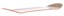Santa Cruz Screaming Hibiscus 8.0 7 Ply Birch Skateboard Deck - angle