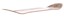 Santa Cruz Sommer Sparrows 8.0 Skateboard Deck - angle