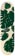 Theories Monstera 8.5 Skateboard Deck