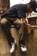 Tactics Kowalski Ripstop Double Knee Pants - brown - Lifestyle 1