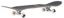 Globe Sol Mates 8.0 Complete Skateboard - angle