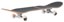 Globe Visitation 8.25 Complete Skateboard - angle