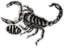 Baker Skulls N Stuff Sticker - scorpion