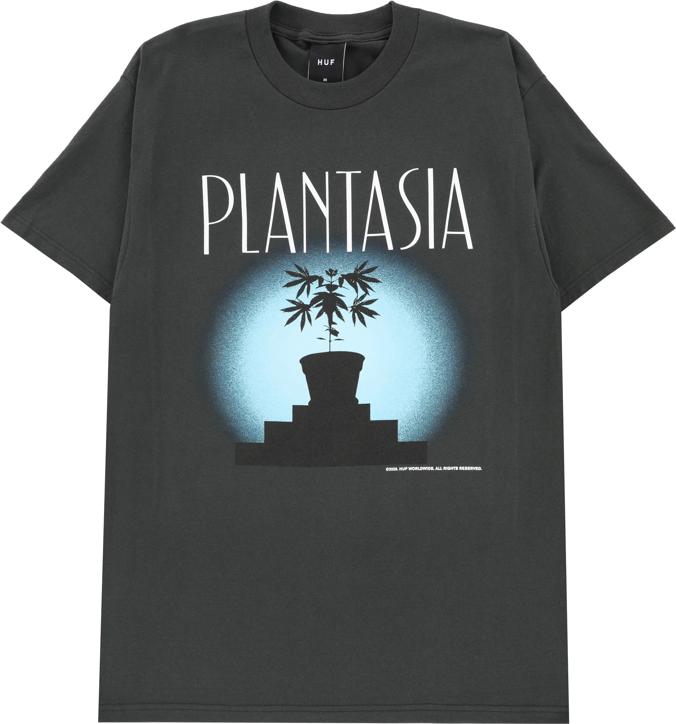 HUF PLANTASIA Tシャツ ブラック Mサイズ huf-plantasia-t-shirt-vintage-