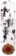 Quasi Nirvana 8.625 Skateboard Deck