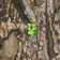 HUF Realtree Megablast L/S T-Shirt - realtree - front detail