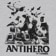 Anti-Hero Pigeon Intelligence Hoodie - grey heather/black - front detail