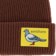 Anti-Hero Lil Pigeon Label Beanie - brown/yellow - front detail