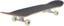 Arbor Whiskey Experience 7.75 Complete Skateboard - angle