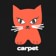 Carpet Cat T-Shirt - black - front detail