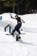 Gnu Max Warbington Finest Asym C2X Snowboard 2026 - Lifestyle 2