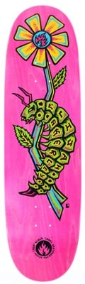 Black Label Akerley Caterpillar 9.0 Egg Skateboard Deck - pink - view large