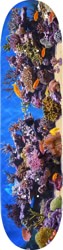 Mini Logo Fish Tank 7.5 255 Shape Skateboard Deck
