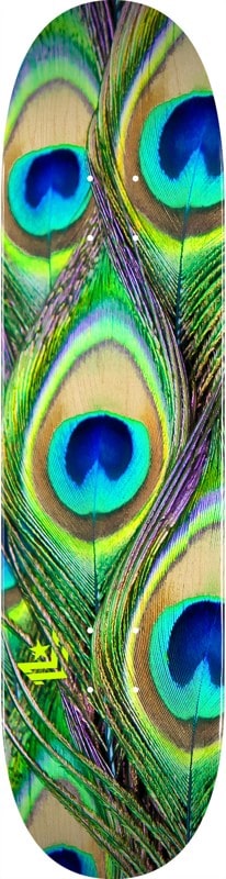 Mini Logo Peacock Feather 7.5 255 Shape Skateboard Deck