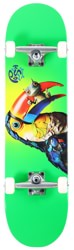 Push Toucan Fade FP 8.25 Complete Skateboard
