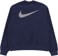 Nike SB Koston Crew Sweatshirt - midnight navy - reverse
