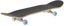 World Industries Devilman 8.0 Complete Skateboard - angle