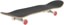 World Industries I WANT U 8.25 Complete Skateboard - angle