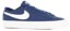 Nike SB Zoom Blazer Low Pro GT Skate Shoes - blue void/sail-blue void