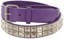 Loosey Stud Finder Belt - purple/silver studs