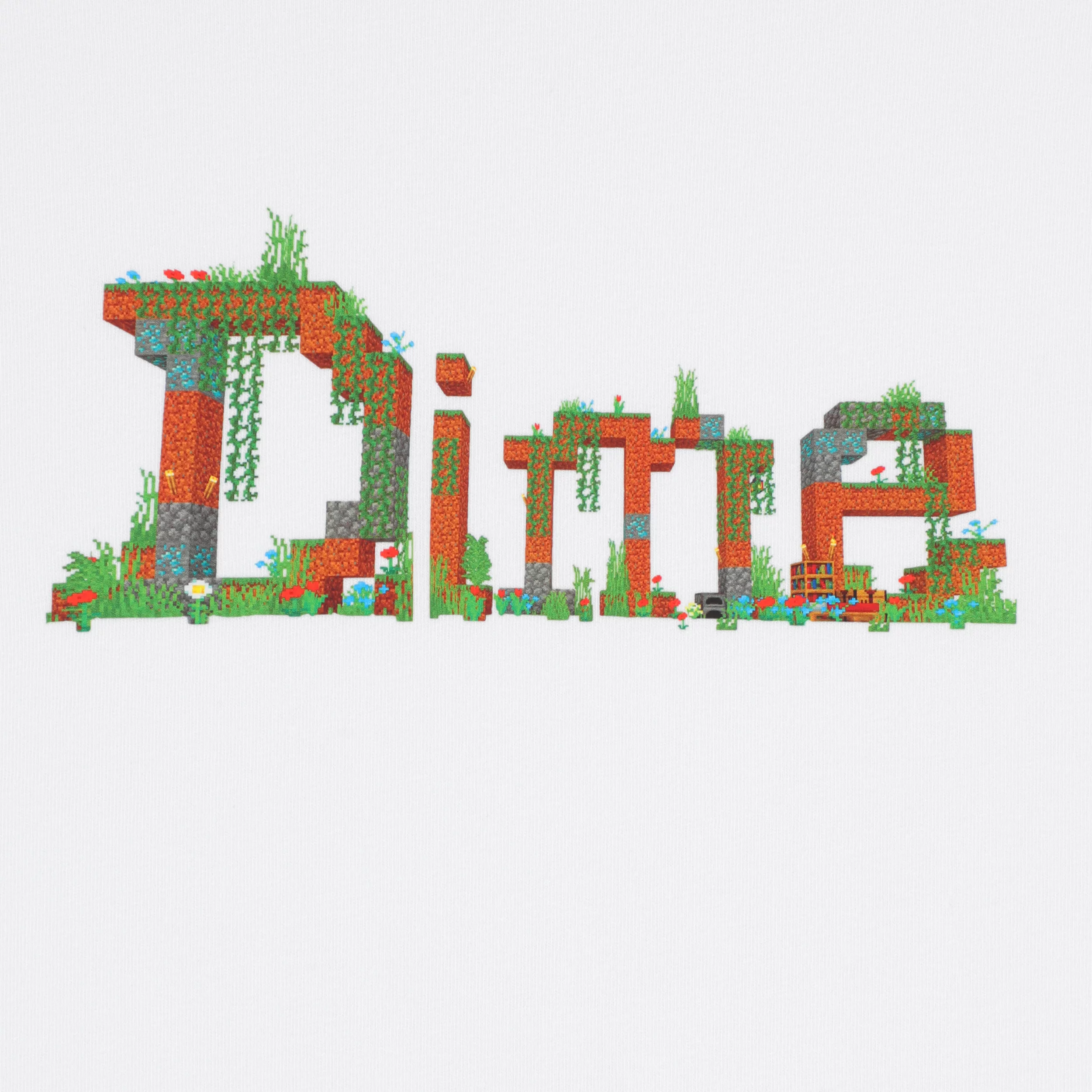 Dime Classic Dimecraft T-Shirt - white | Tactics