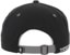 Passport Hercu~Locks Strapback Hat - black - reverse