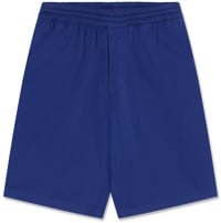Polar Skate Co. Surf Shorts - dark blue