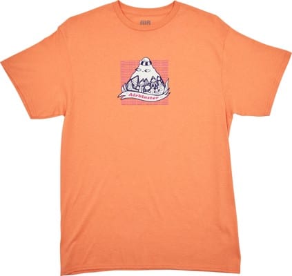 Airblaster Respect T-Shirt - sorbet - view large