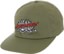 Santa Cruz Salba Voodoo Pit Snapback Hat - fern