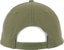 Santa Cruz Salba Voodoo Pit Snapback Hat - fern - reverse