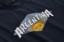 Adidas Thrasher x AFA Argentina T-Shirt - night navy - detail 2