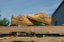 Nike SB Air Force 1 Skate Shoes - flax - Lifestyle 2