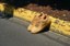 Nike SB Air Force 1 Skate Shoes - flax - Lifestyle 4