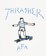 Adidas Thrasher x AFA Gonz Ringer T-Shirt - core white - detail 3