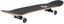 Tactics 8.0 Logo Complete Skateboard - wordmark - profile