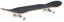 Theories Fixate 8.25 Complete Skateboard - angle