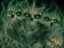 Creature Worthington Terror Sight Pro 8.75 Skateboard Deck - detail 1