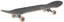 Anti-Hero Team Pigeon Complete Skateboard - angle